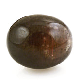 BLACK GOLDEN SUNSTONE PLAIN OLIVE (HALF DRILL) 18X15MM 27.77 Cts.