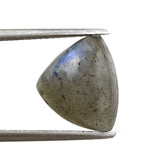 LABRADORITE TRILLION CAB 13X11MM 6.01 Cts.