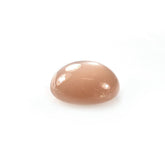 PEACH MOONSTONE CURVED ROUND CAB (MEDIUM/PEACH/CLEAN) 14.00X14.00 MM 10.10 Cts.