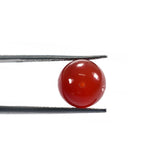 RED ONYX PLAIN ROUND BALLS (MEDIUM OILISH)(H/D_0.90MM) 10.00X10.00 MM 7.25 Cts.