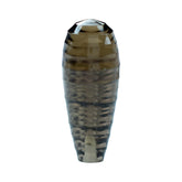 SMOKY QUARTZ CONCAVE DROPS (HALF DRILL) (DES#134) (MEDIUM) 20X8MM 9.52 Cts.