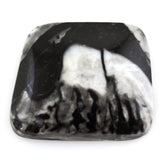 BLACK FOSSIL JASPER FANCY SHAPE 26X22MM 35.85 Cts.