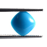 SLEEPING BEAUTY TURQUOISE PLAIN LENTIL CUSHION (AAA) 9.00X9.00 MM 2.62 Cts.
