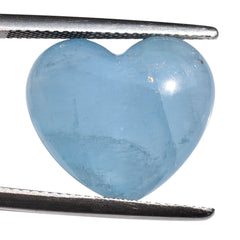MILKY AQUAMARINE PLAIN LENTIL HEART (AA-AAA/MILKY) 17.50X15.50 MM 13.37 Cts.