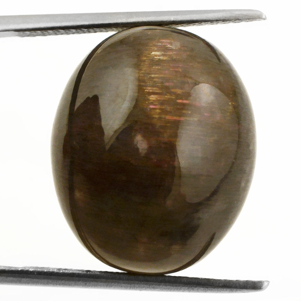 BLACK GOLDEN SUNSTONE PLAIN OLIVE (HALF DRILL) 18X15MM 27.77 Cts.