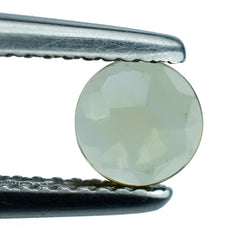 CITRINE (C-3)  IRREGULAR BRIOLETTE ROUND 5.50MM 0.67 Cts.