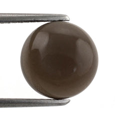 CHOCOLATE MOONSTONE ROUND CAB 10MM 3.76 Cts.