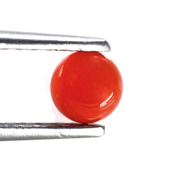 CARNELIAN ROUND CAB 5MM 0.51 Cts.