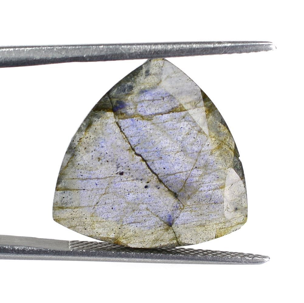LABRADORITE CUT TRILLION (ROSE CUT BACK) 18MM 8.47 Cts.