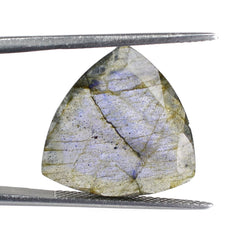 LABRADORITE CUT TRILLION (ROSE CUT BACK) 18MM 8.47 Cts.
