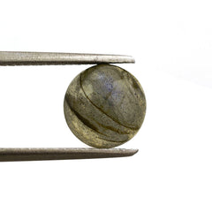 LABRADORITE ROUND CAB 9MM 2.73 Cts.