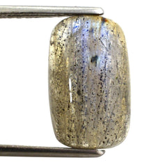 GREY LABRADORITE CUSHION CAB (BLUE GREEN) 16X10MM 7.47 Cts.