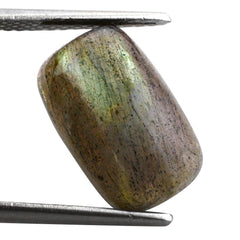GREY LABRADORITE CUSHION CAB (BLUE GREEN) 16X10MM 7.50 Cts.