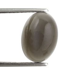GREY MOONSTONE OVAL CAB 14X10MM 5.97 Cts.