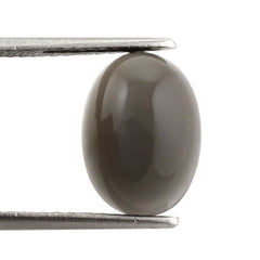 GREY MOONSTONE OVAL CAB (DARK) 14X10MM 6.01 Cts.