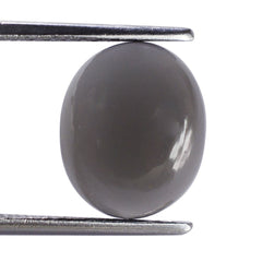 GREY MOONSTONE OVAL CAB (DARK) 12X10MM 4.9 Cts.