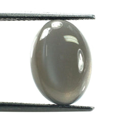GREY MOONSTONE PLAIN OVAL CAB (DARK) 14X10MM 5.80 Cts.