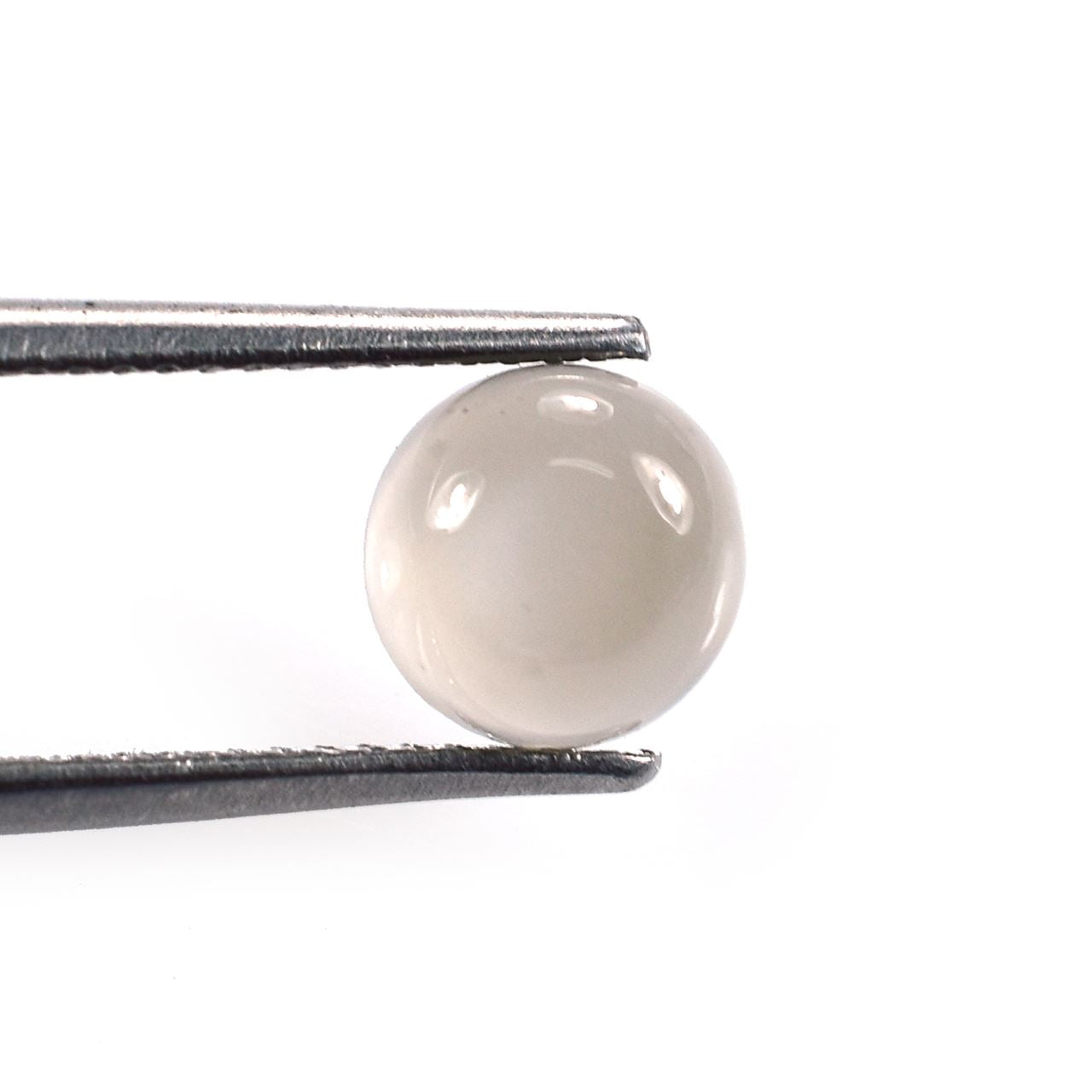 GREY MOONSTONE PLAIN ROUND CAB (TRANSPARENT)(LIGHT)(CLEAN) 7.00X7.00 MM 1.20 Cts.