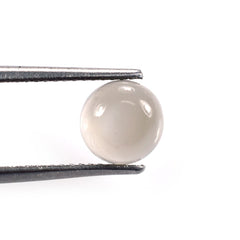 GREY MOONSTONE PLAIN ROUND CAB (TRANSPARENT)(LIGHT)(CLEAN) 7.00X7.00 MM 1.20 Cts.