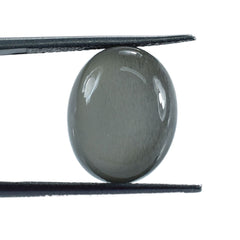 GREY MOONSTONE SMOOTH OVAL PEBBLE (MEDIUM)(CLEAN) 15.00X12.00 MM 14.00 Cts.