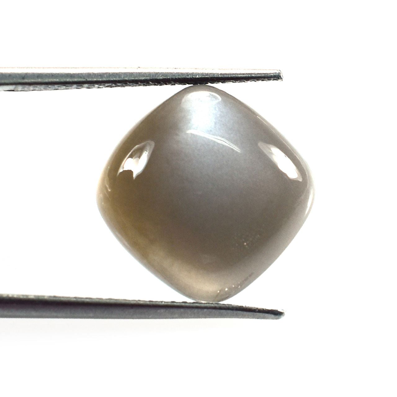 GREY MOONSTONE PLAIN CUSHION SRC CAB (VERY DARK)(OPAQUE)(CLEAN) 14.00X14.00 MM 7.45 Cts.