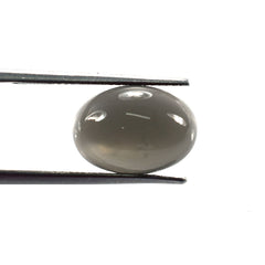 GREY MOONSTONE PLAIN OVAL CAB (DARK)(OPAQUE)(CLEAN) 14.00X10.00 MM 5.85 Cts.