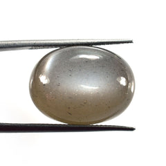 GREY MOONSTONE SMOOTH OVAL PEBBLE (LIGHT)(CLEAN) 20.00X15.00 MM 27.08 Cts.