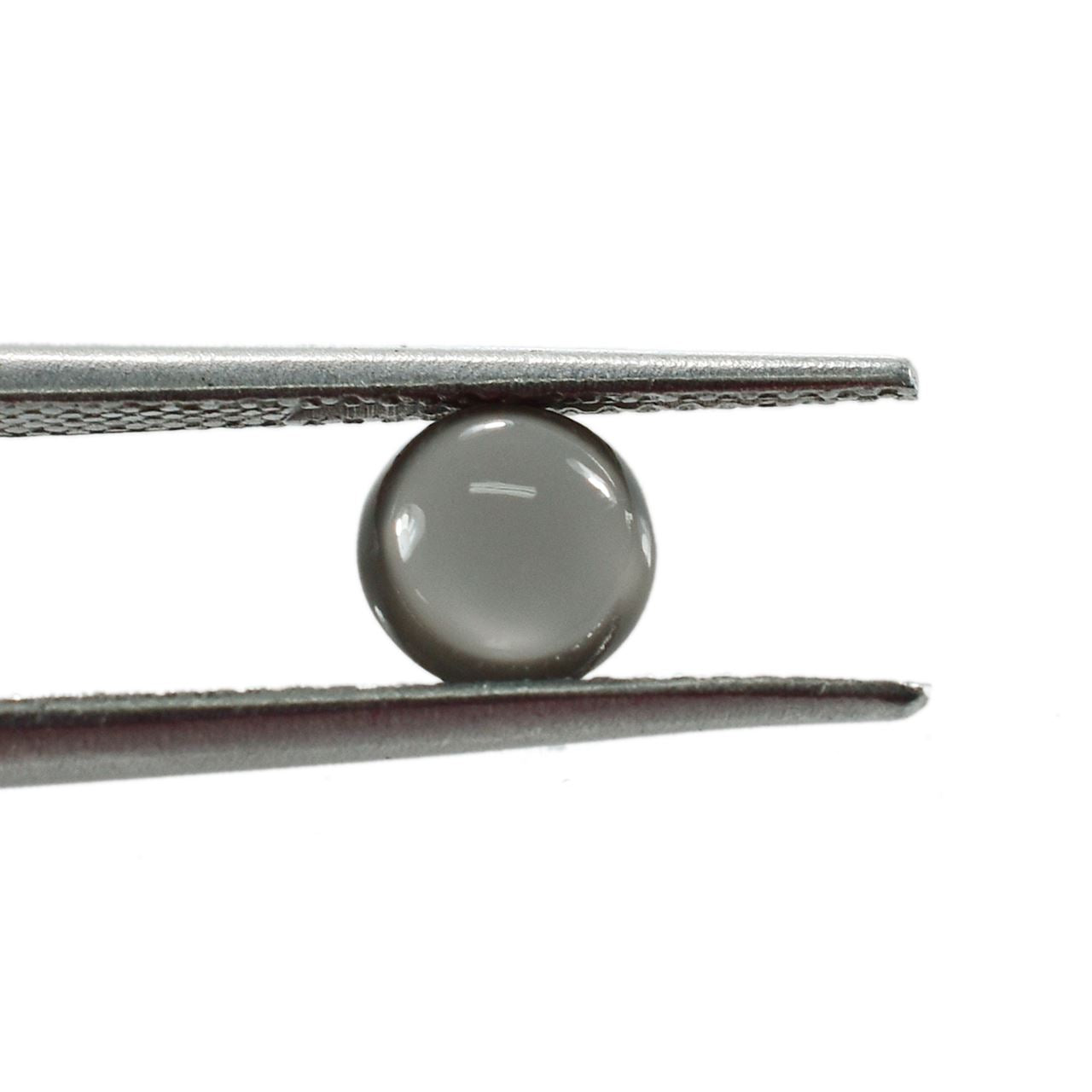 GREY MOONSTONE PLAIN LENTIL ROUND (VERY DARK)(CLEAN) 6.00X6.00 MM 0.83 Cts.