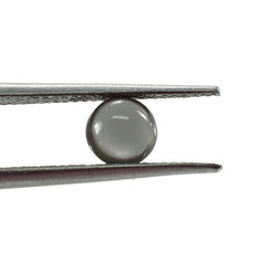GREY MOONSTONE PLAIN LENTIL ROUND (VERY DARK)(CLEAN) 6.00X6.00 MM 0.83 Cts.