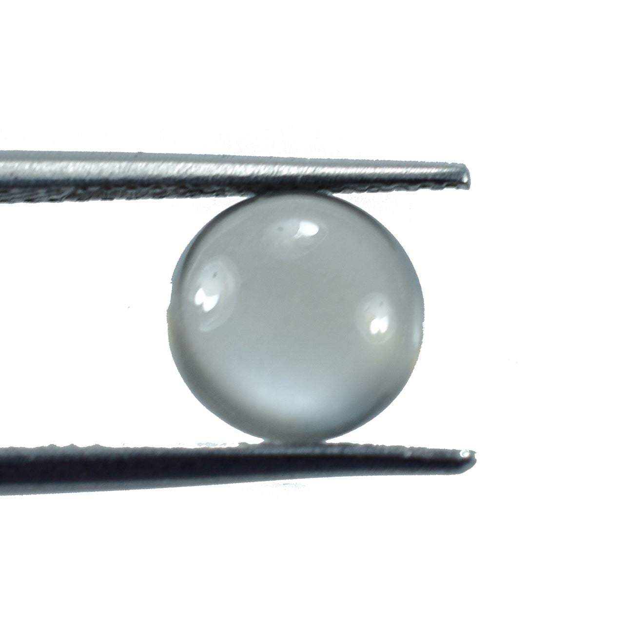 GREY MOONSTONE CURVED ROUND CAB (TRANSPARENT)(LIGHT)(CLEAN) 8.00X8.00 MM 1.95 Cts.