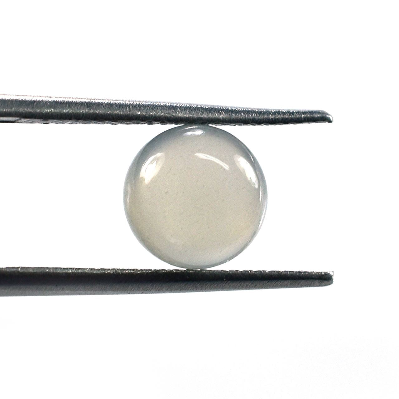 GREY MOONSTONE CURVED ROUND CAB (GREY LIGHT MILKY)(CLEAN) 8.00X8.00 MM 1.91 Cts.
