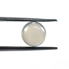 GREY MOONSTONE CURVED ROUND CAB (GREY LIGHT MILKY)(CLEAN) 8.00X8.00 MM 1.91 Cts.