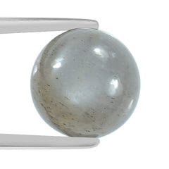 GREY MOONSTONE PLAIN ROUND CAB (SILVER GREY MEDIUM) 14.00X14.00 MM 9.88 Cts.