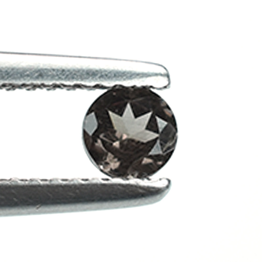 GARNET COLOR CHANGE CUT ROUND (AA/CLEAN) 4.00X4.00 MM 0.38 Cts.