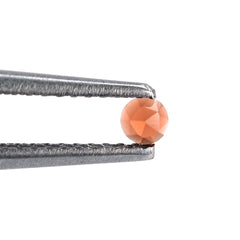 GARNET ROSE CUT ROUND CAB (OPEN RED)(CLEAN) 2.50X2.50 MM 0.10 Cts.