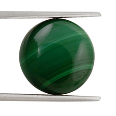MALACHITE LENTIL ROUND 15MM 18.59 Cts.