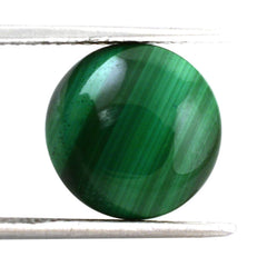 MALACHITE LENTIL ROUND 12MM 9.00 Cts.