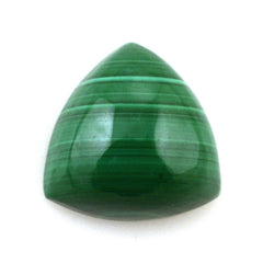 MALACHITE TRILLION CAB 10MM 5.85 Cts.