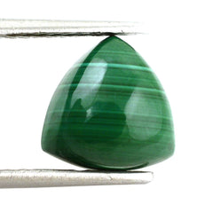 MALACHITE TRILLION CAB 10MM 5.85 Cts.