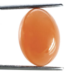 ORANGE MOONSTONE OVAL CAB 18X13MM 15.65 Cts.
