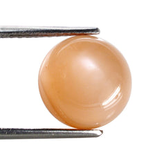 ORANGE MOONSTONE PLAIN ROUND CAB 12MM 6.73 Cts.