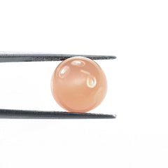 MOONSTONE ORANGE PLAIN CUT ROUND CAB (OPAQUE) (LIGHT) (CLEAN)12.00 MM 9.15 Cts.