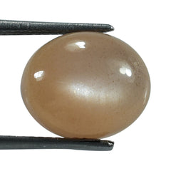 PEACH MOONSTONE PLAIN CAB OVAL CLEAN 12.00X10.00 MM 4.53 Cts.