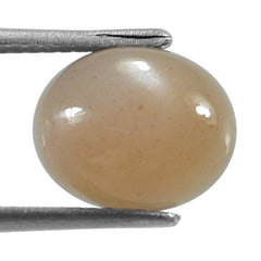 PEACH MOONSTONE PLAIN CAB OVAL CLEAN 10.00X8.00 MM 2.54 Cts.
