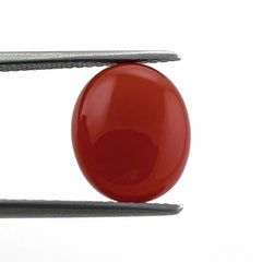 RED ONYX OVAL CAB 12X10MM 3.78 Cts.