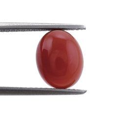 RED ONYX OVAL CAB 10X8MM 3.43 Cts.