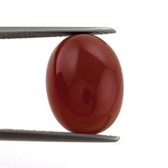 RED ONYX OVAL CAB 16X12MM 9.13 Cts.