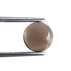 SMOKY QUARTZ PLAIN ROUND CAB 8MM 1.70 Cts.