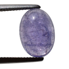 MILKY TANZANITE OVAL CAB (A-SEMI MILKY) 14X10MM 7.20 Cts.