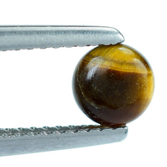 YELLOW TIGER EYE PLAIN ROUND CAB (OPAQUE)(CLEAN) 5.50X5.50 MM 0.69 CTS